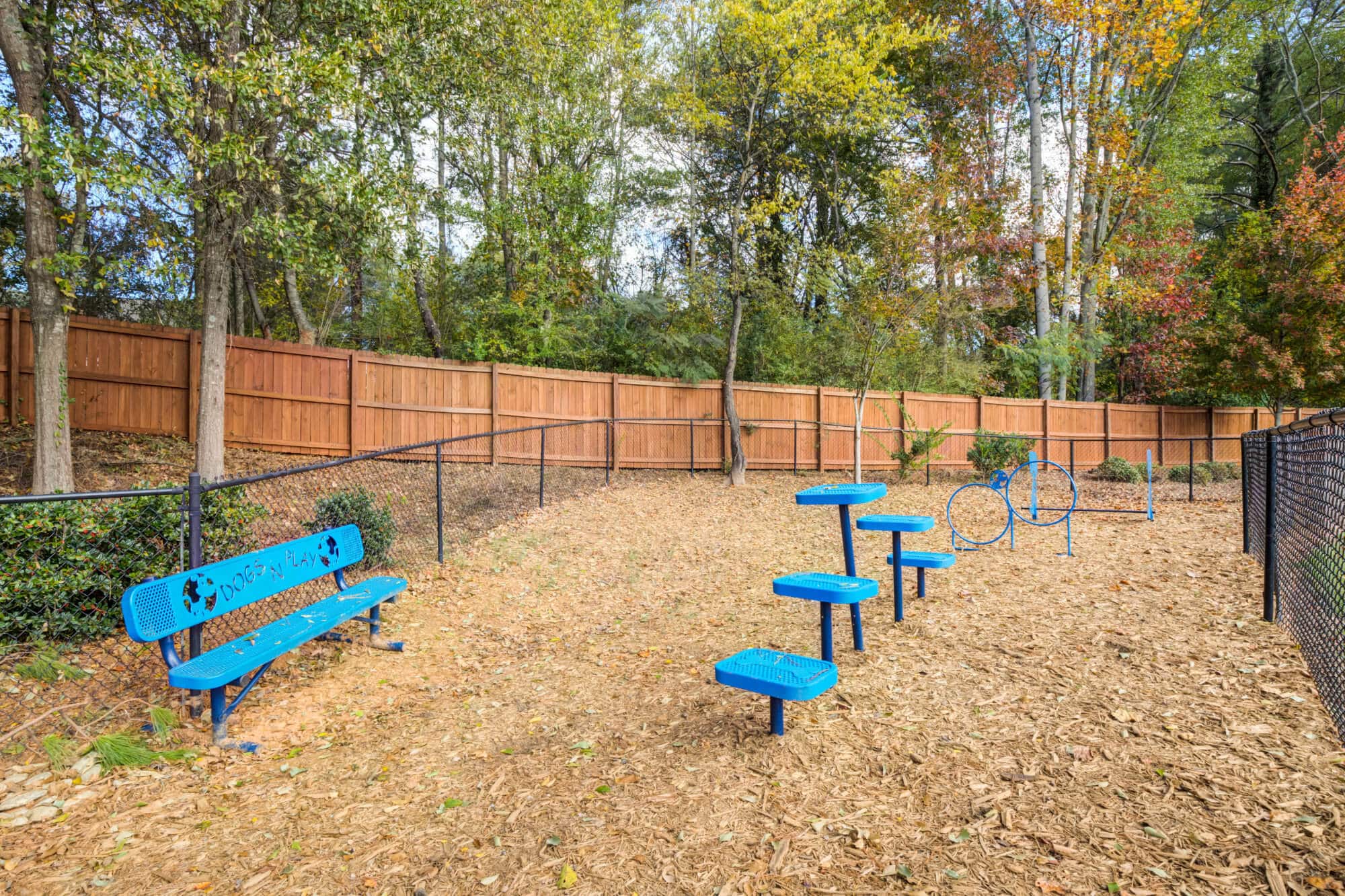 the collective at clemson off campus apartments near clemson university bark park